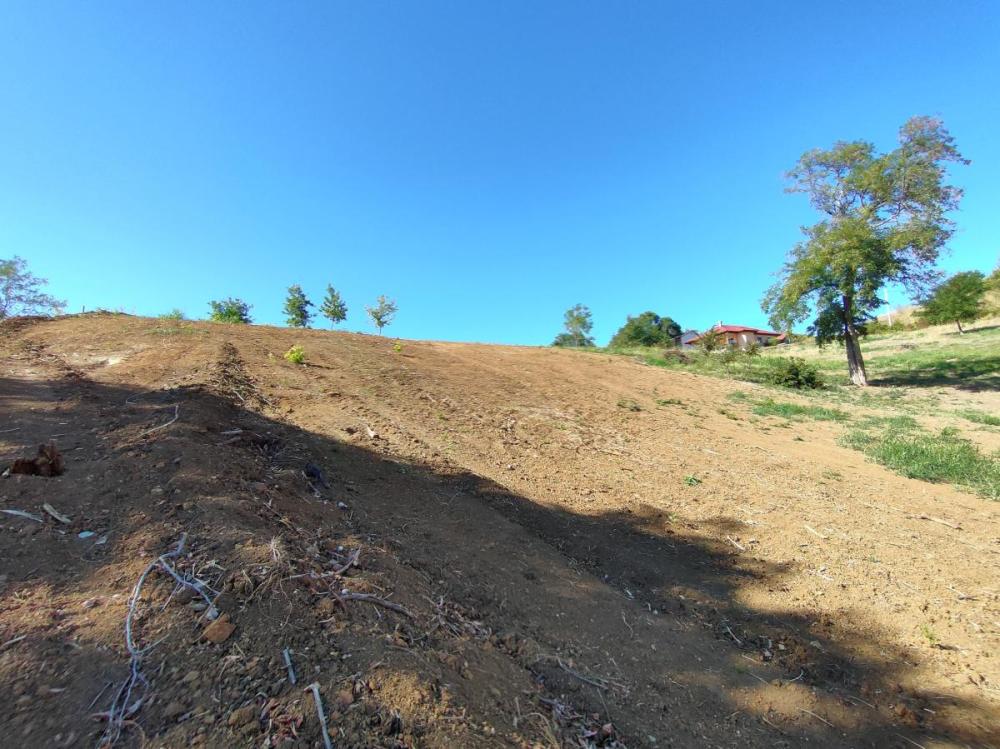 Slika 4 -  Plac na prodaju, Sremska Kamenica, , 162.000€