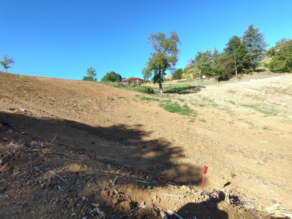 Slika 7 -  Plac na prodaju, Sremska Kamenica, , 162.000€