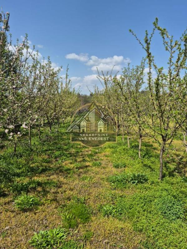 Glavna slika - Plac na prodaju, Voždovac, Ripanj, 61.000€