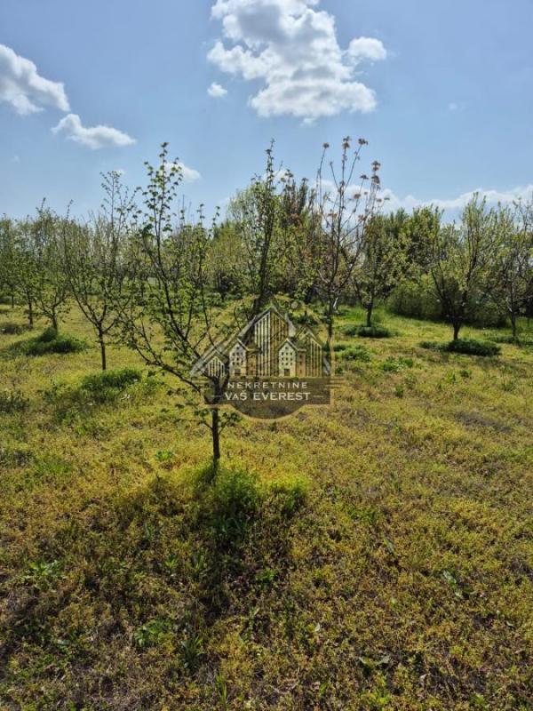 Slika 3 -  Plac na prodaju, Voždovac, Ripanj, 61.000€