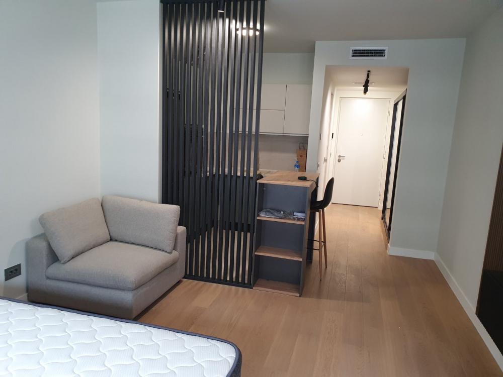 Slika 1 - Đorđa Stanojevića, Jednosoban stan za izdavanje, 32m2, 800€