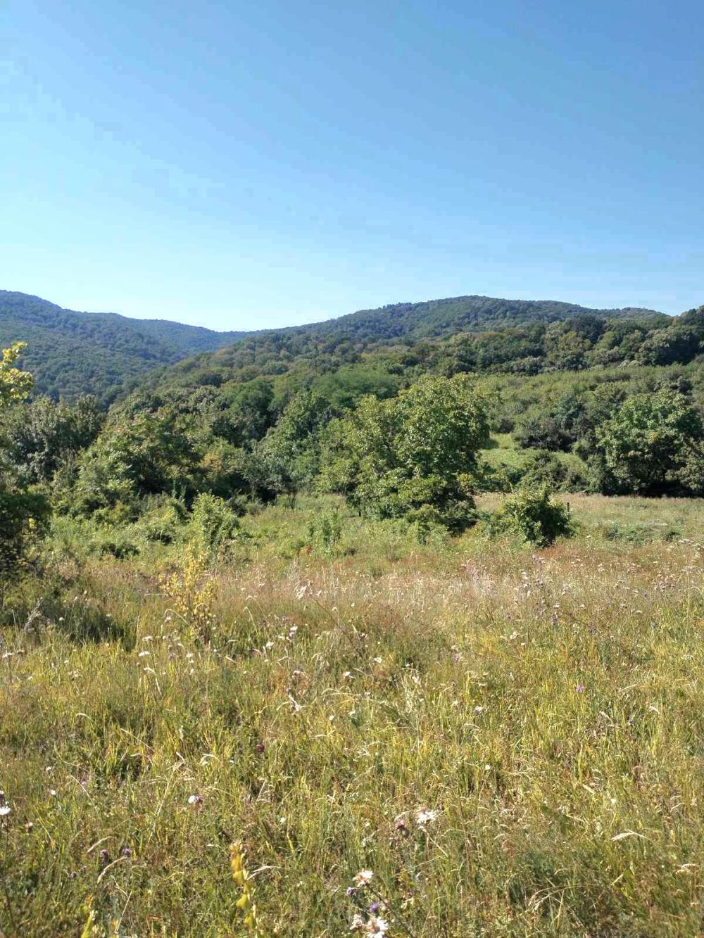 Slika 2 - Cvetna bb Plac na prodaju, Rakovac -Beočin, 160.000€