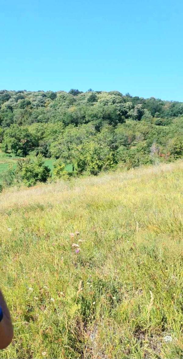 Slika 0 - Cvetna bb Plac na prodaju, Rakovac -Beočin, 160.000€