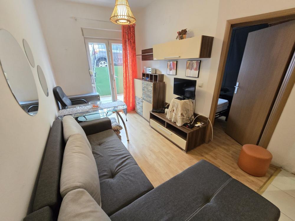 Glavna slika -Davida Pajića, Jednoiposoban stan za izdavanje, 33m2, 300€