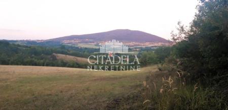 glavna slika oglasa