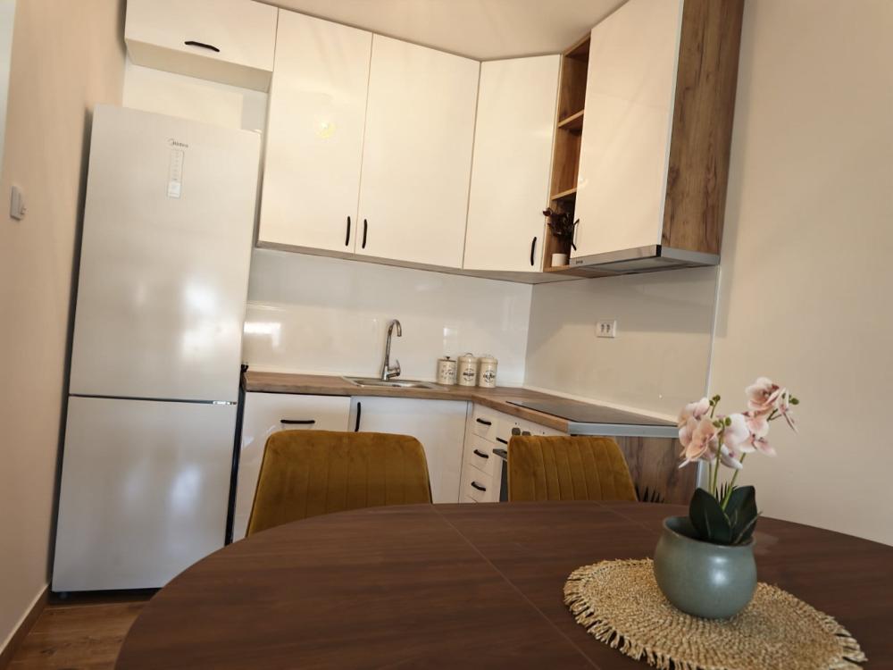 Slika 1 - Bulevar Nemanjića, blizu Trošarine, Jednoiposoban stan za izdavanje, 46m2, 400€