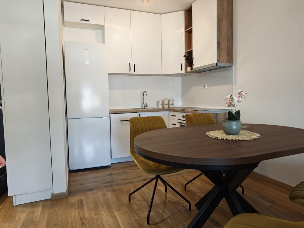 Slika 0 - Bulevar Nemanjića, blizu Trošarine, Jednoiposoban stan za izdavanje, 46m2, 400€