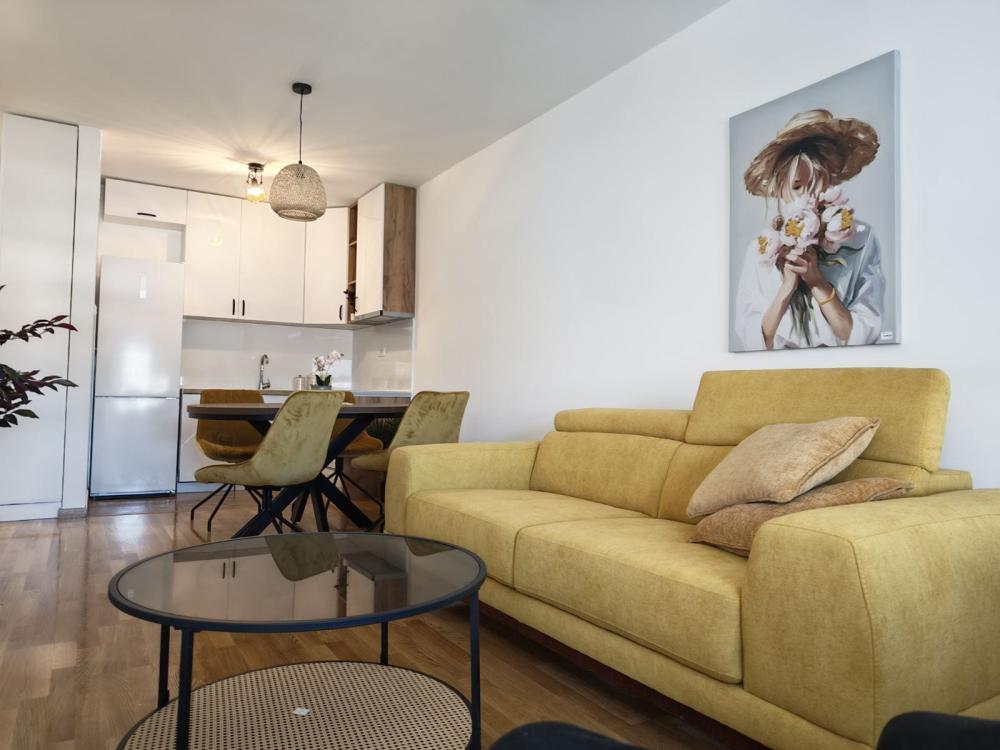 Glavna slika -Bulevar Nemanjića, blizu Trošarine, Jednoiposoban stan za izdavanje, 46m2, 400€