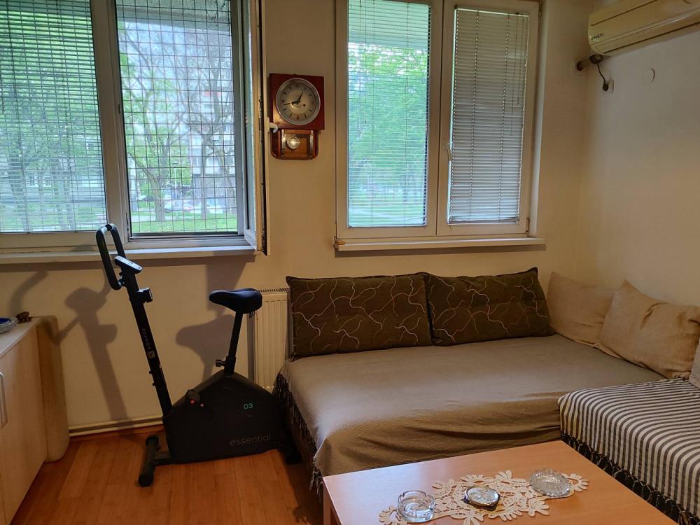 Slika 9 - Bul, Mihajla Pupina, Jednoiposoban stan za izdavanje, 37m2, 400€