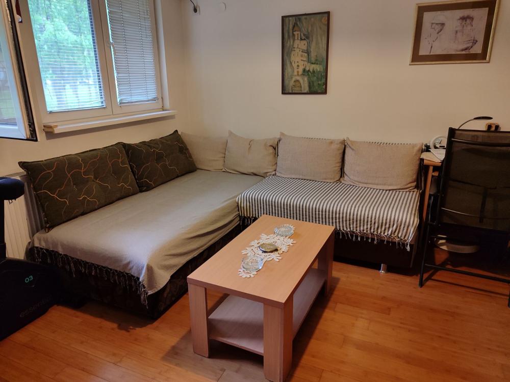 Slika 8 - Bul, Mihajla Pupina, Jednoiposoban stan za izdavanje, 37m2, 400€