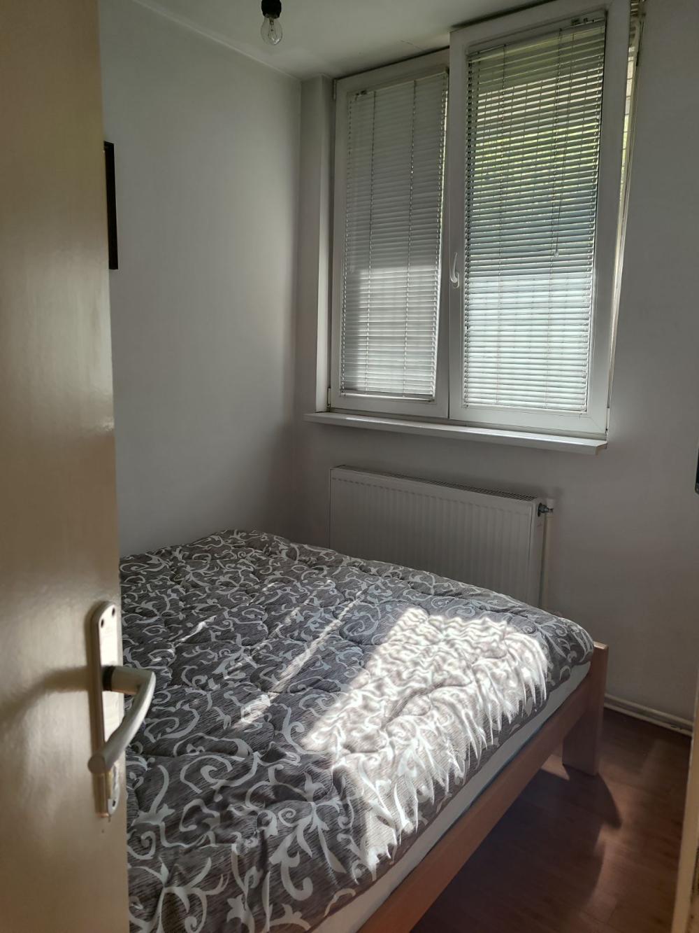 Slika 10 - Bul, Mihajla Pupina, Jednoiposoban stan za izdavanje, 37m2, 400€