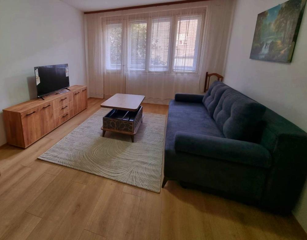 Slika 8 - Kneginje Ljubice , Dvosoban stan za izdavanje, 55m2, 350€