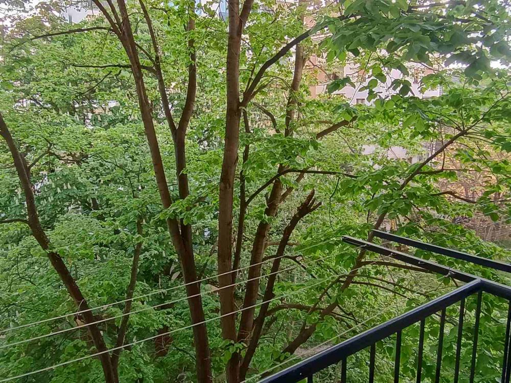 Slika 5 - Vojvode Stepe, Jednosoban stan za izdavanje, 33m2, 400€