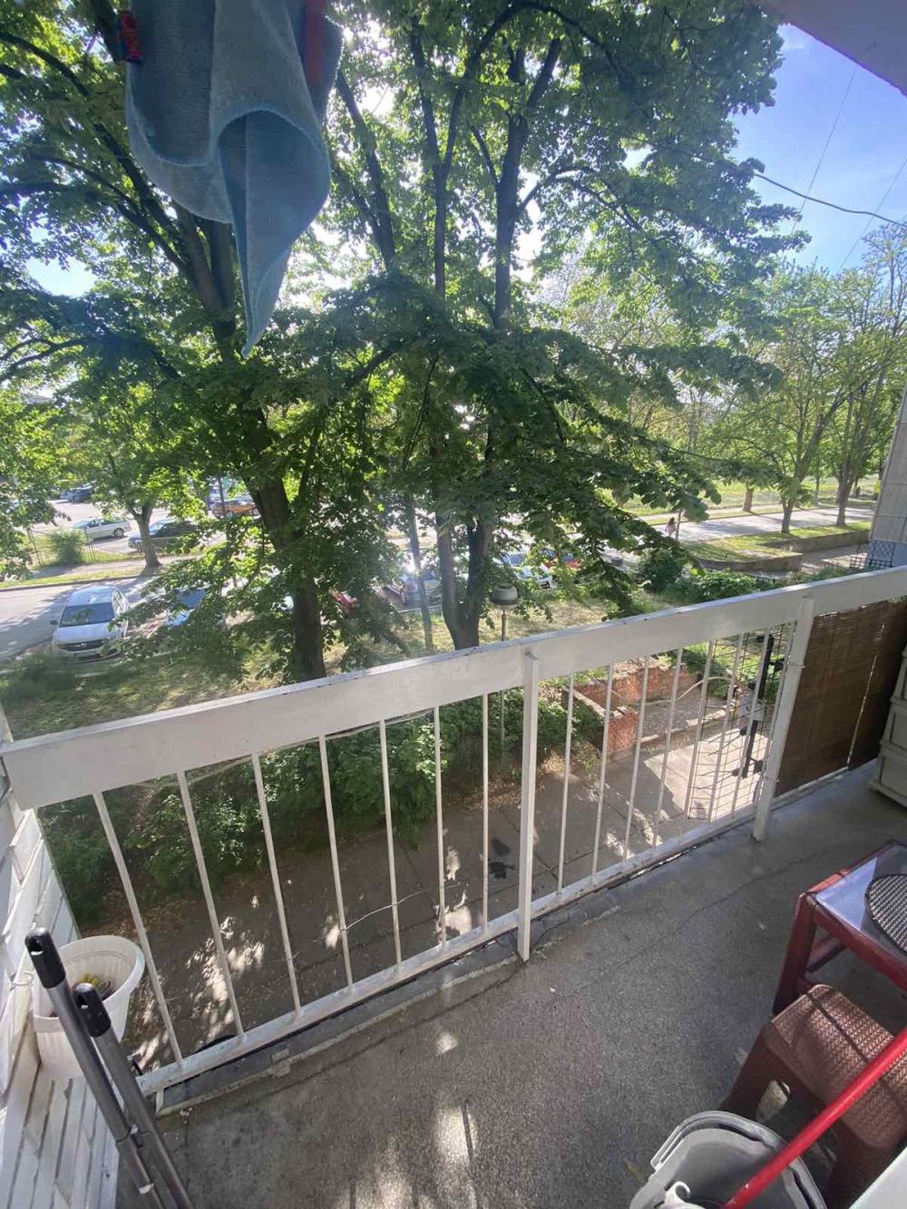 Slika 7 - Svetosavski park, Jednoiposoban stan za izdavanje, 45m2, 350€