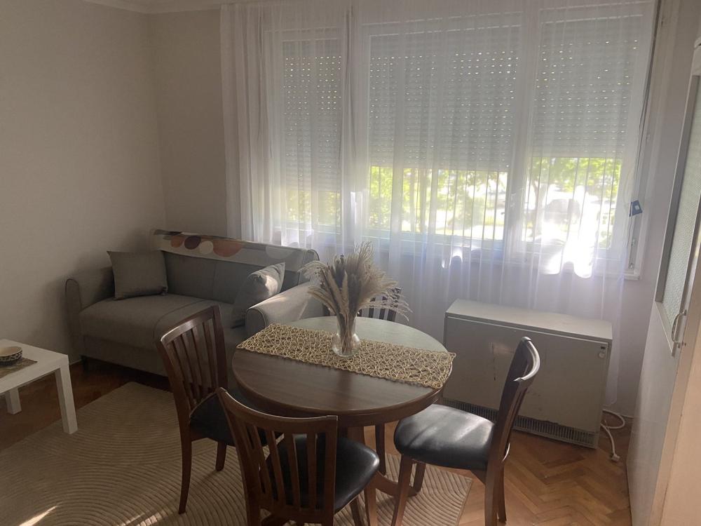 Slika 6 - Svetosavski park, Jednoiposoban stan za izdavanje, 45m2, 350€