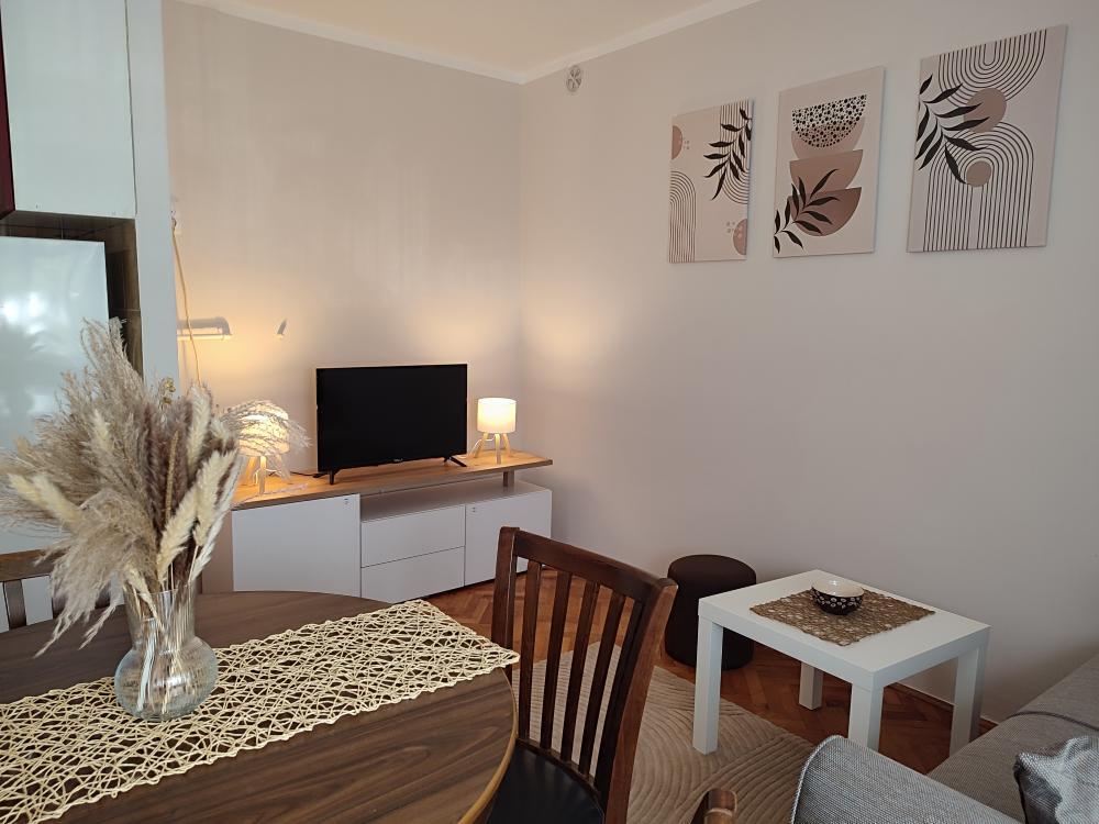 Glavna slika -Svetosavski park, Jednoiposoban stan za izdavanje, 45m2, 350€