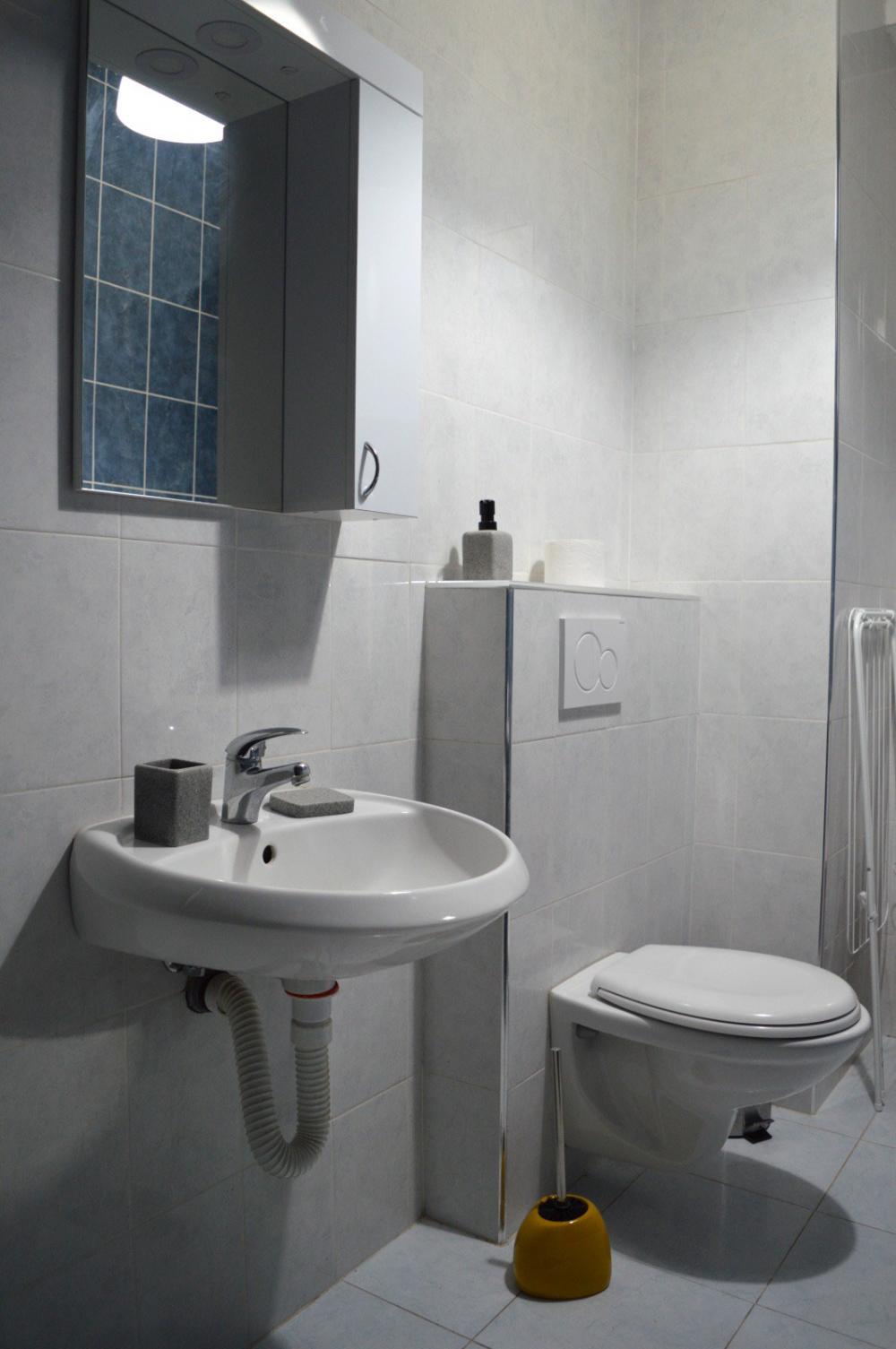 Slika 8 - Šumatovačka, Jednosoban stan za izdavanje, 32m2, 650€