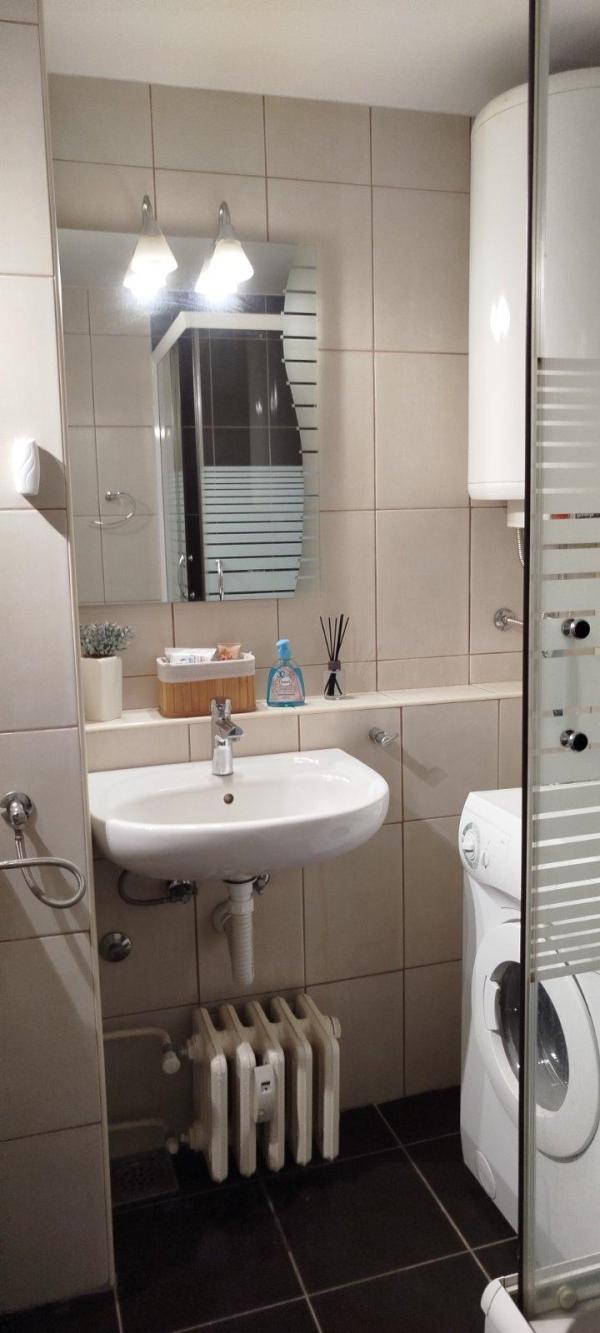 Slika 9 - Bulevar Arsenija Čarnojevića,  Lokal za izdavanje, 110m2, 1.100€