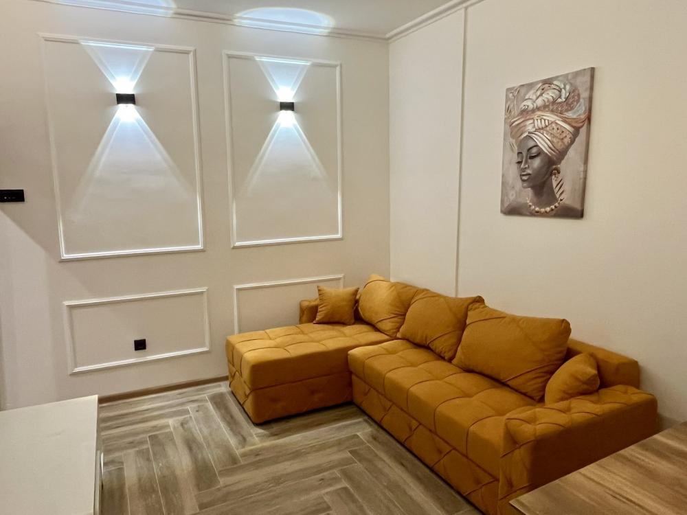 Slika 3 - Vojvode Stepe, Dvosoban stan za izdavanje, 42m2, 600€