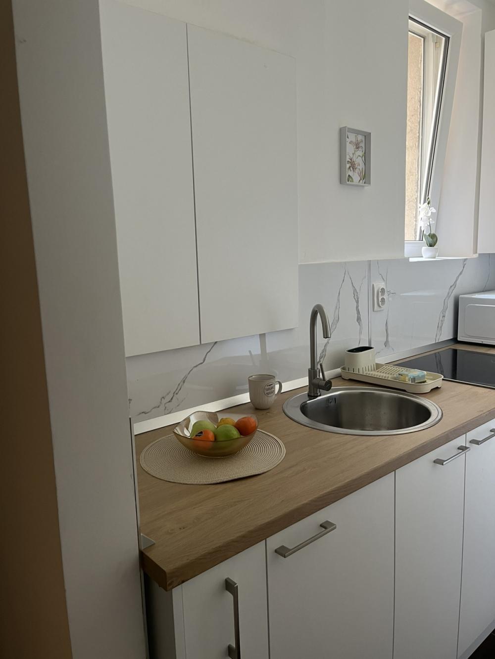 Slika 5 - Komnen Barjaktara, Dvosoban stan za izdavanje, 40m2, 750€