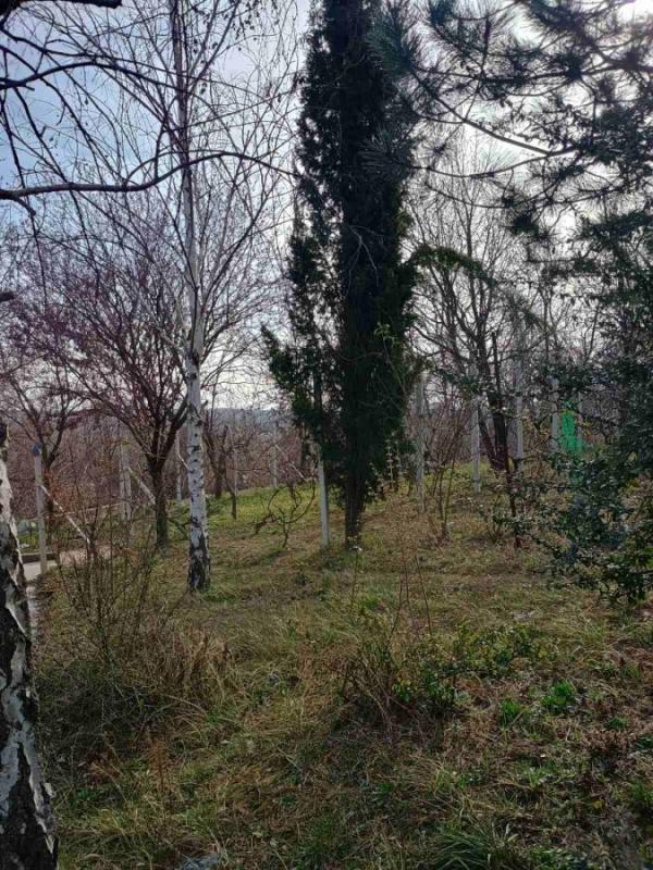 Slika 7 - Puckaroš, Kuća na prodaju, 115m2, 309.000€
