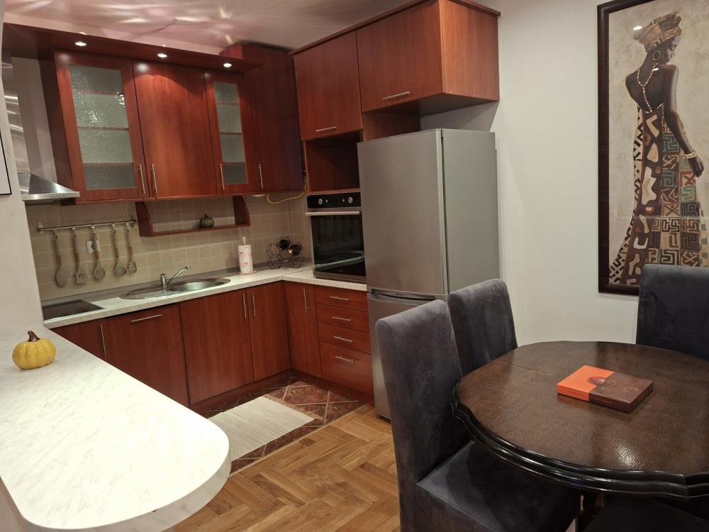 Slika 7 - Voje Veljkovića, Dvosoban stan za izdavanje, 65m2, 550€