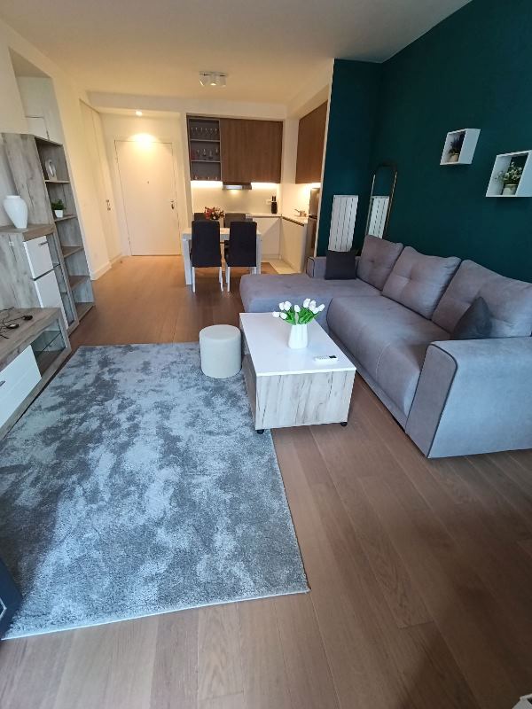 Slika 1 - Luke Ćelovića Trebinjca, Dvosoban stan za izdavanje, 58m2, 1.050€