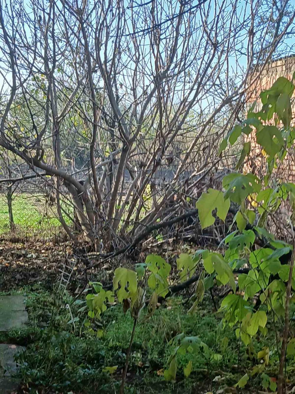 Slika 8 - Titel,  Kuća na prodaju, 120m2, 40.000€