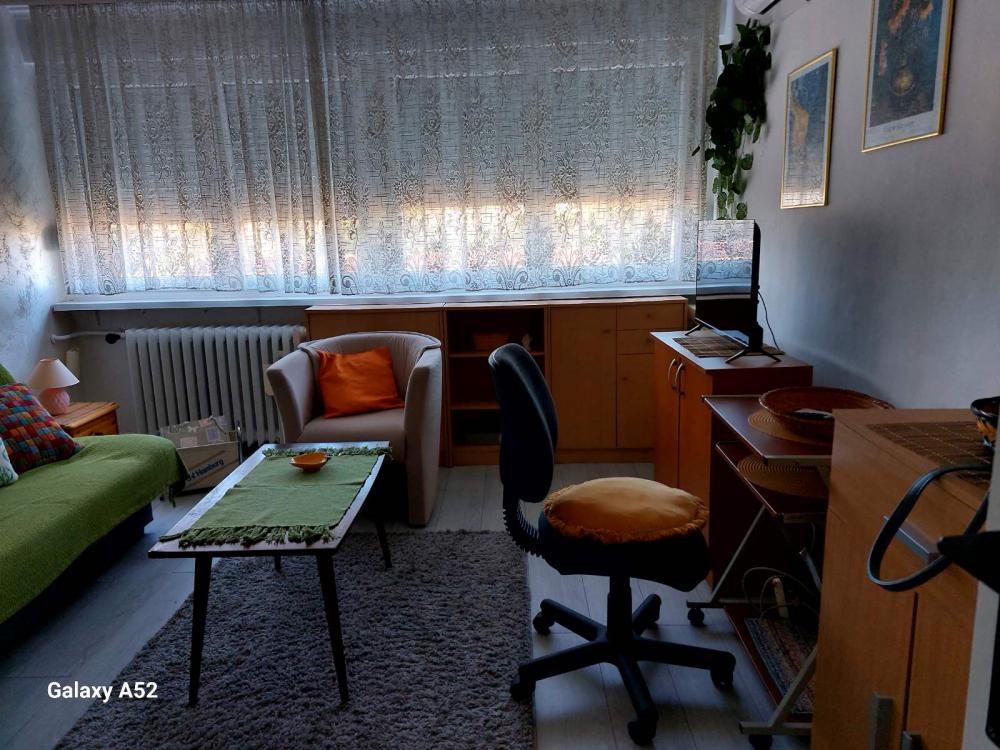 Slika 4 - Triše Kaclerovića, Jednosoban stan za izdavanje, 20m2, 350€