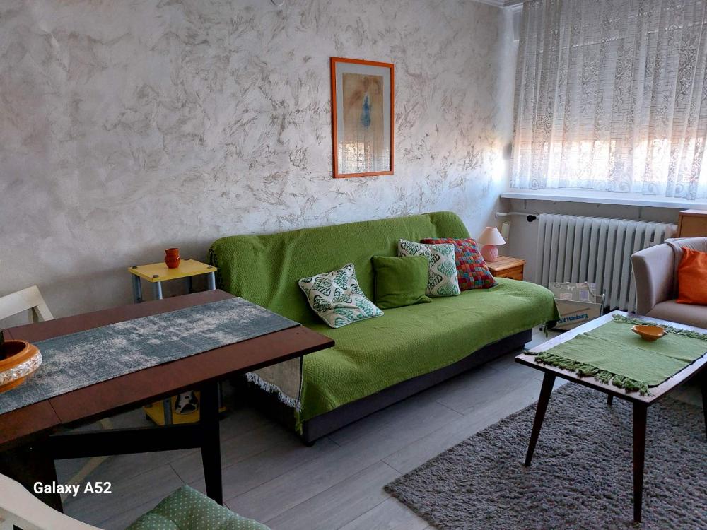 Slika 1 - Triše Kaclerovića, Jednosoban stan za izdavanje, 20m2, 350€