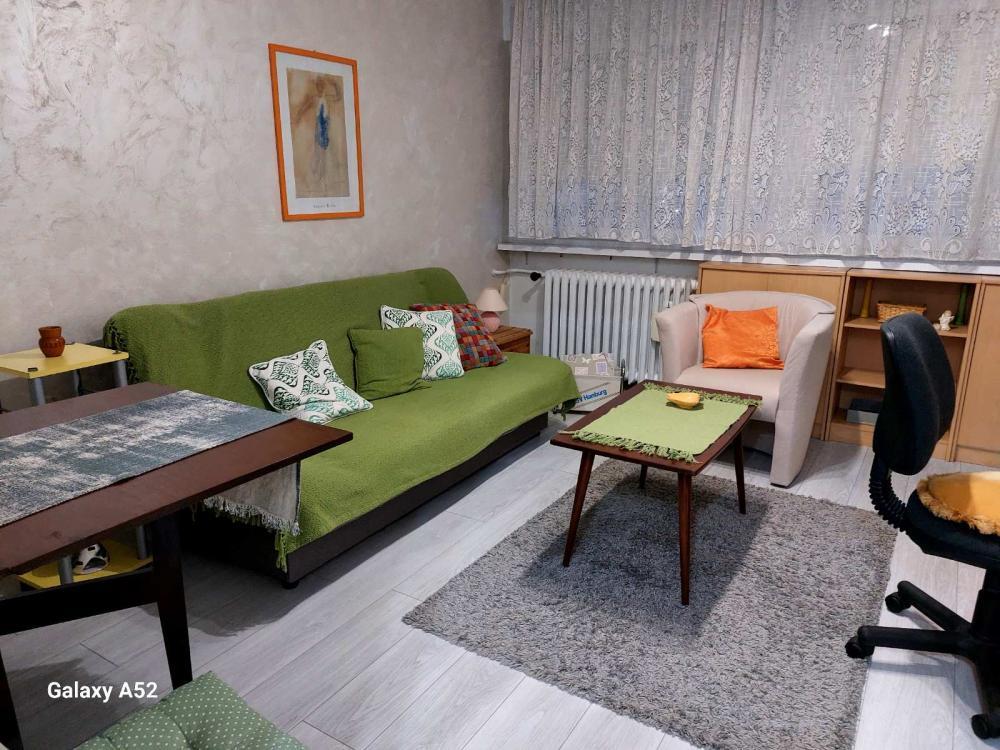 Glavna slika -Triše Kaclerovića, Jednosoban stan za izdavanje, 20m2, 350€