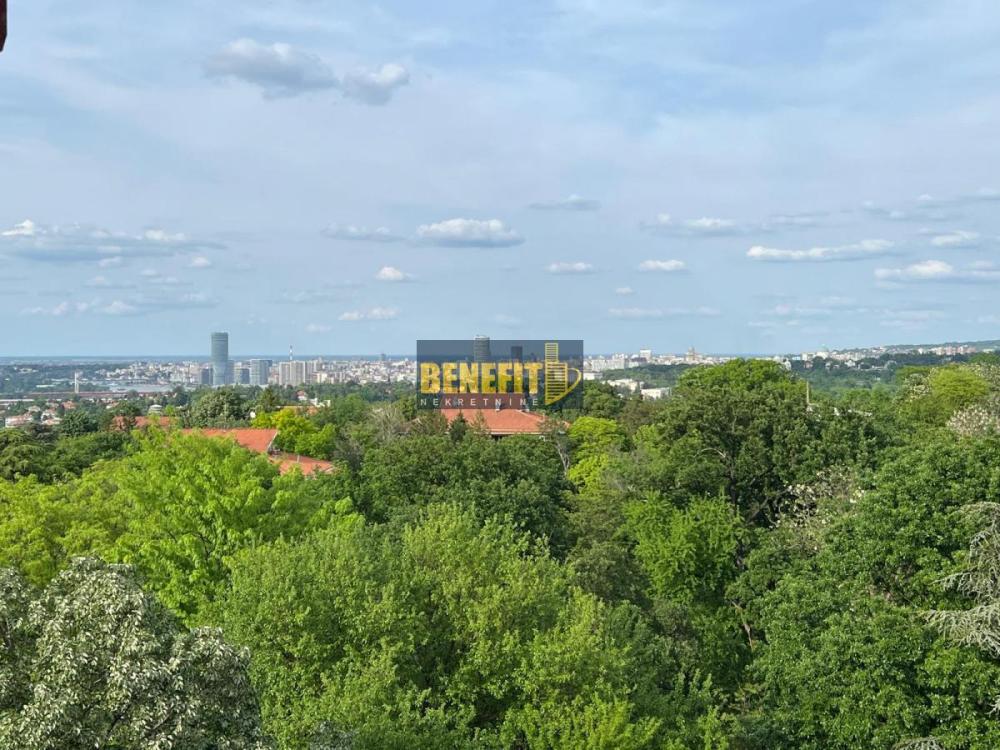 Glavna slika oglasa 397130