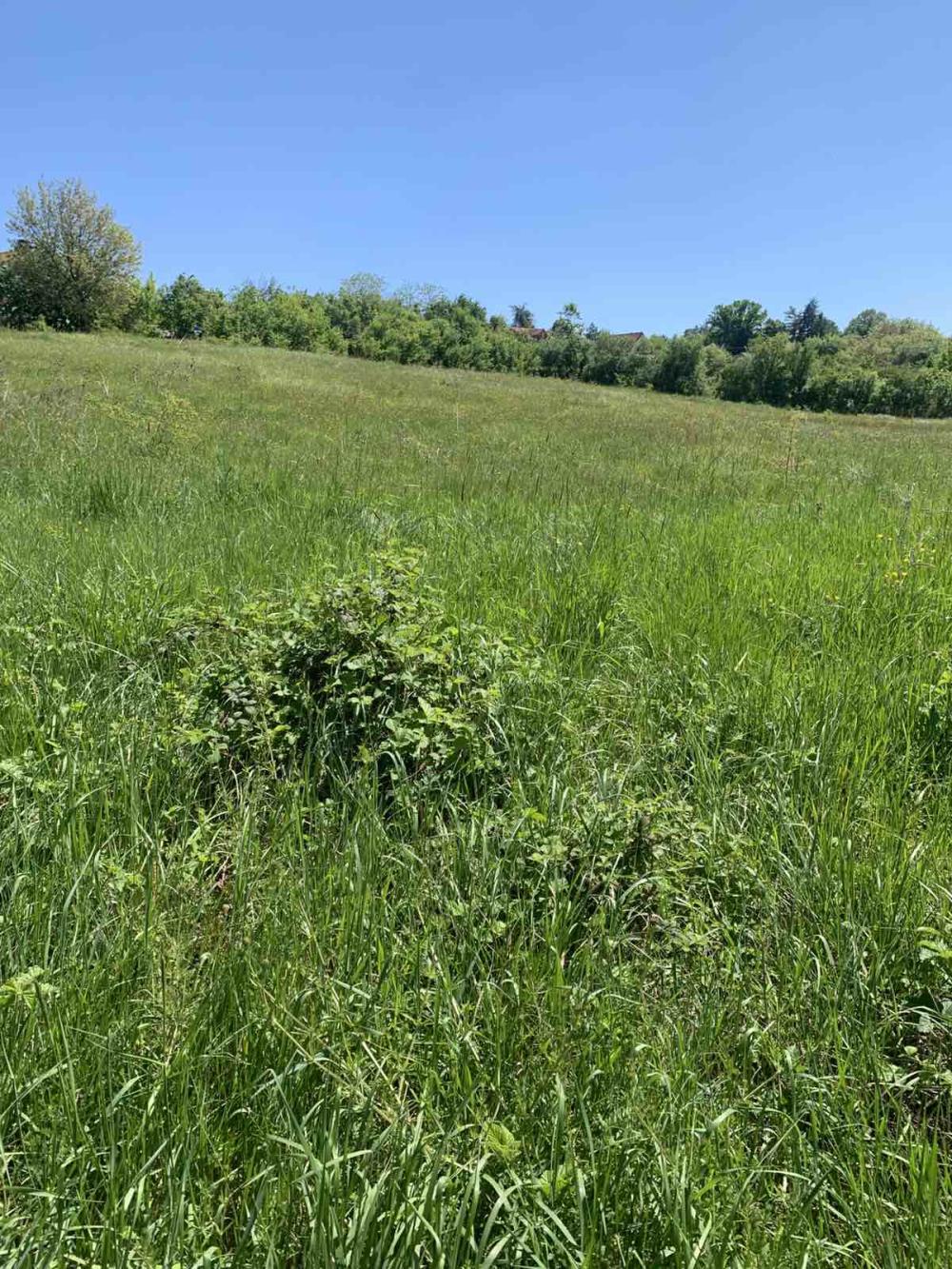 Slika 3 - Vrbovno Plac na prodaju, 48.000€