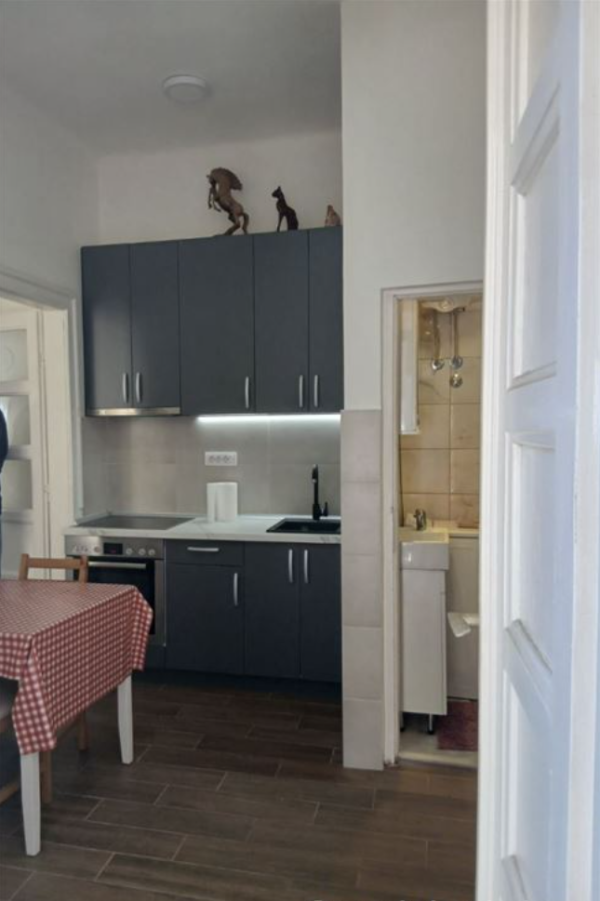 Slika 3 - Svetogorska,  Stan za izdavanje, 25m2, 400€