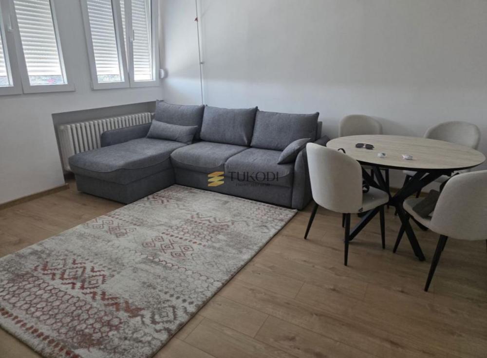 Slika 1 - Jednoiposoban stan za izdavanje, 45m2, 500€
