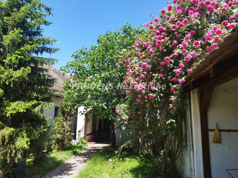 Glavna slika oglasa 397704