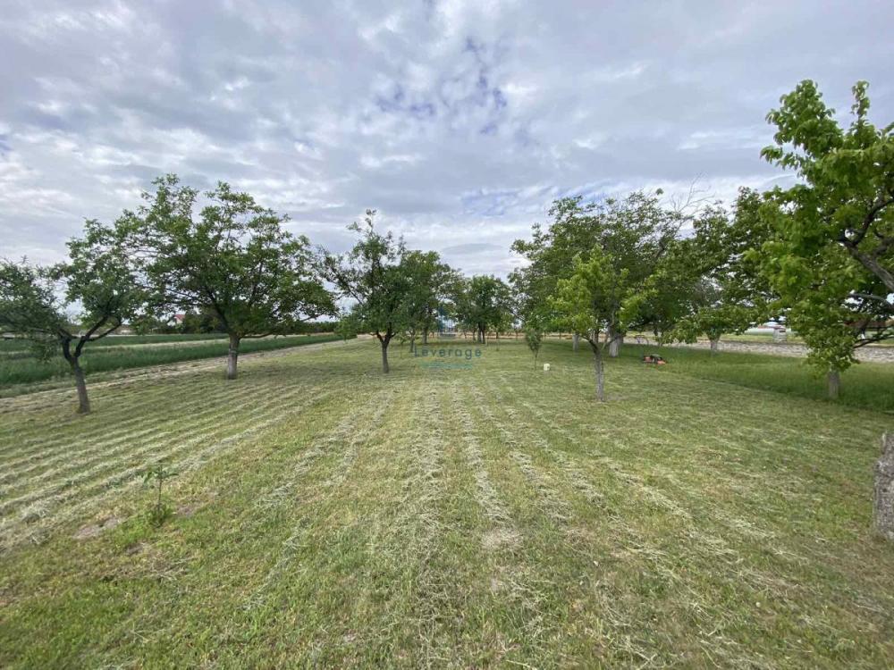 Slika 1 -  Plac na prodaju, Palilula, Borča, 425.000€