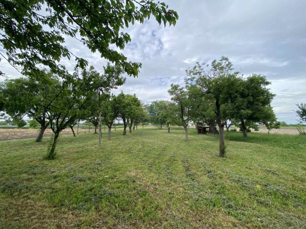Slika 4 -  Plac na prodaju, Palilula, Borča, 425.000€