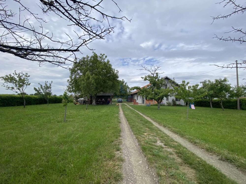 Slika 5 -  Plac na prodaju, Palilula, Borča, 425.000€