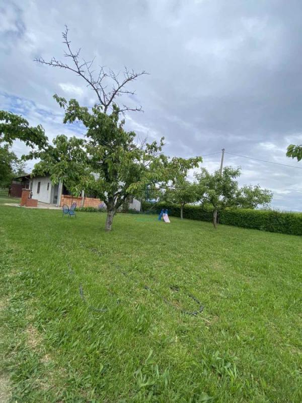 Slika 3 -  Plac na prodaju, Palilula, Borča, 425.000€