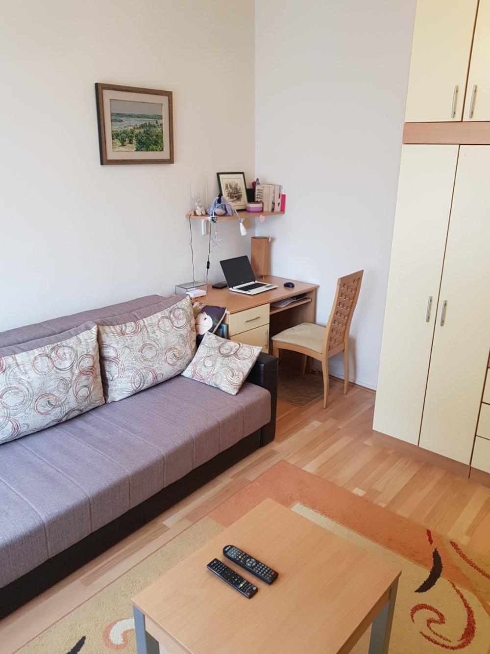 Slika 1 - Požarevačka, Jednosoban stan za izdavanje, 25m2, 450€