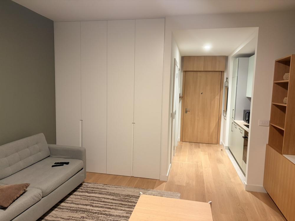 Slika 1 - Luke Ćelovića Trebinjca, Jednosoban stan za izdavanje, 33m2, 900€