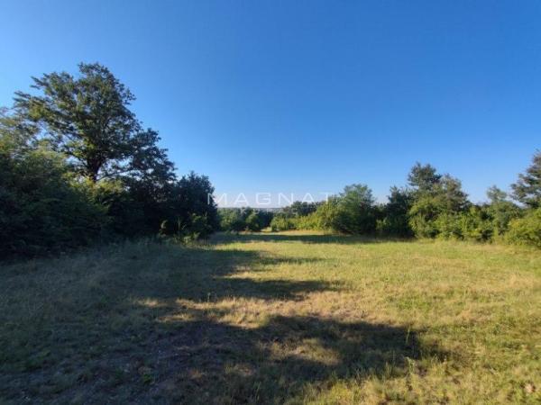 Glavna slika - Plac na prodaju, Mladenovac, Amerić, 72.000€