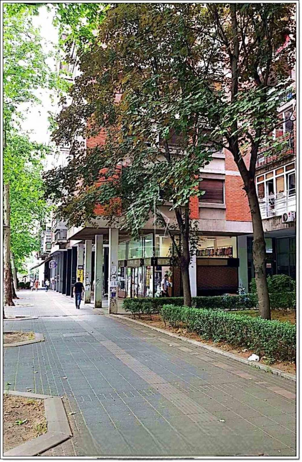 Slika 9 - Bulevar Kralja Aleksandra, Trosoban stan za izdavanje, 76m2, 680€