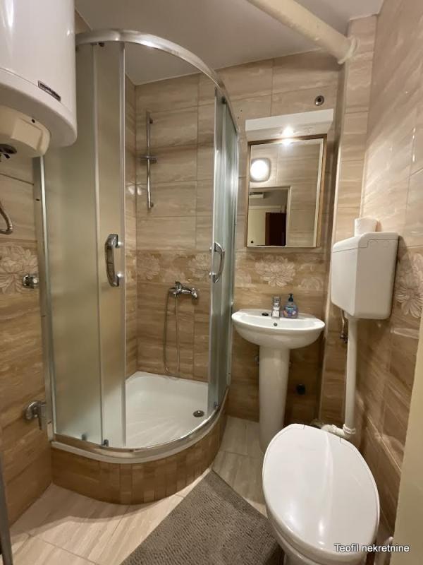 Slika 6 - Bulevar Arsenija Čarnojevića, Jednosoban stan za izdavanje, 33m2, 450€