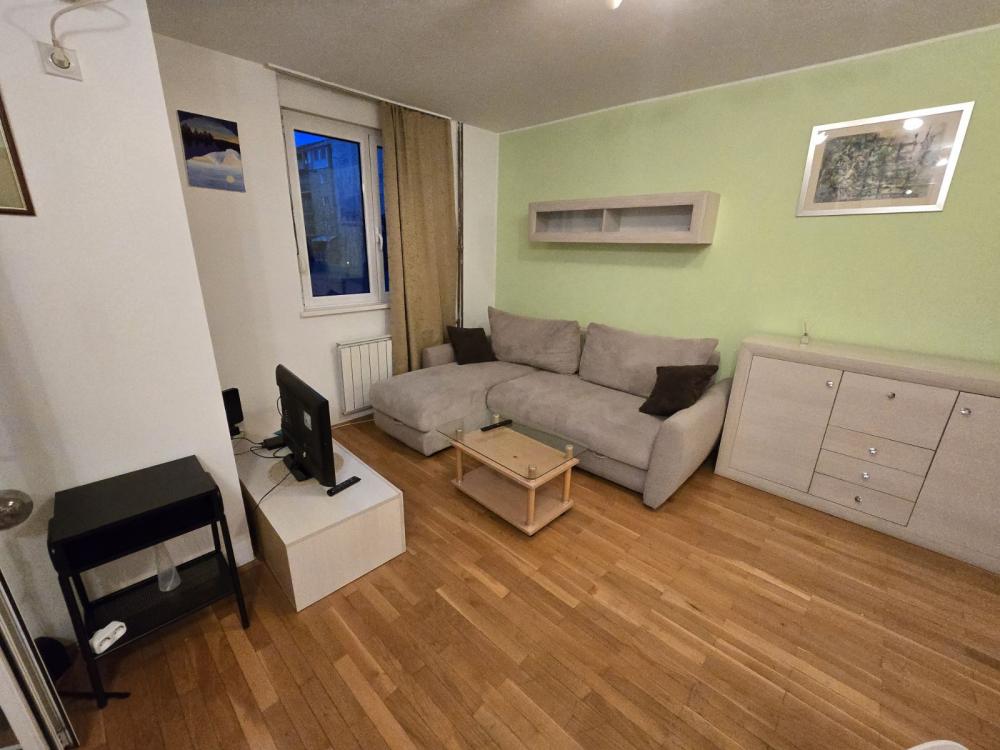Slika 1 - Gospodara Vučića, Dvosoban stan za izdavanje, 55m2, 550€
