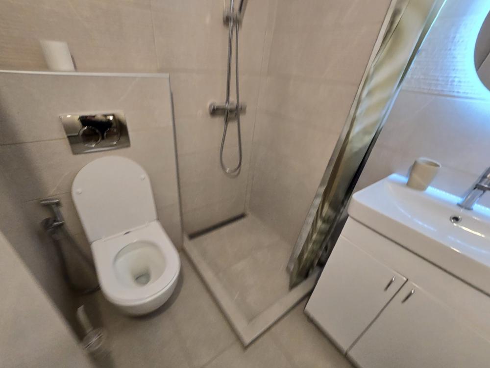 Slika 9 - Gospodara Vučića, Dvosoban stan za izdavanje, 55m2, 550€
