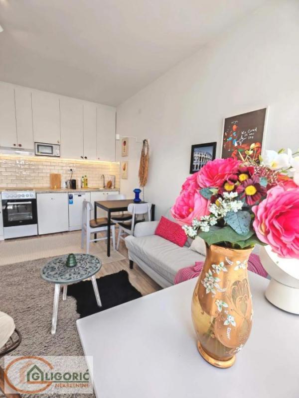 Slika 8 - Cara Dušana, Dvosoban stan za izdavanje, 40m2, 800€