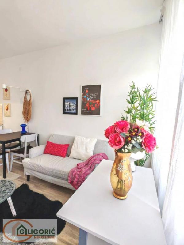 Slika 6 - Cara Dušana, Dvosoban stan za izdavanje, 40m2, 800€