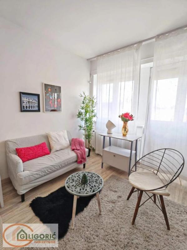 Slika 3 - Cara Dušana, Dvosoban stan za izdavanje, 40m2, 800€